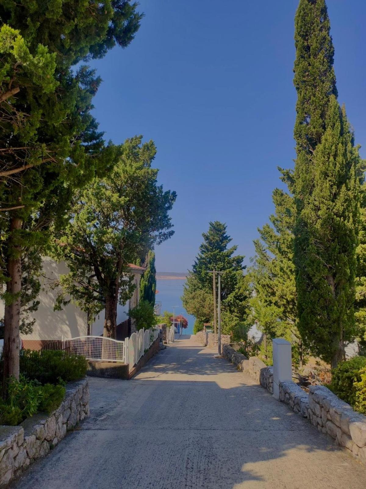 Modern Seaview House Fiore Стариград-Пакленица Екстериор снимка